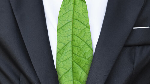 Businessman in suit with green leaf as tie. Environment save con