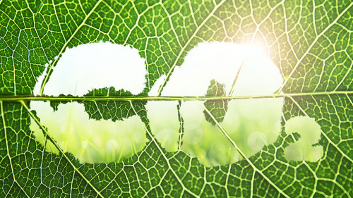 Concept of clear air. CO2 inscription cut out on green leaf, clo