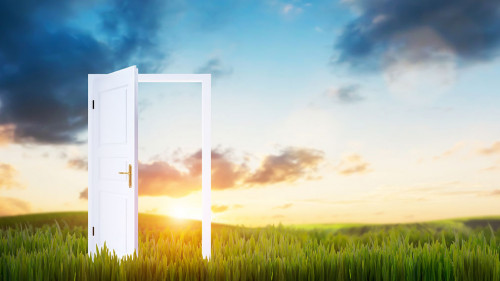 Open door on green grass