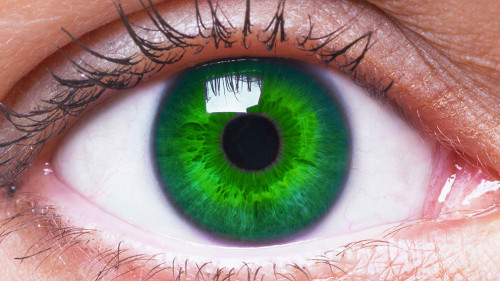 girl's green eye close up