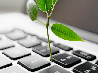 Laptop keyboard with plant growing on it. Green IT computing concept. Carbon efficient technology. Digital sustainability