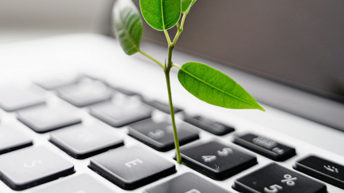 Laptop keyboard with plant growing on it. Green IT computing concept. Carbon efficient technology. Digital sustainability
