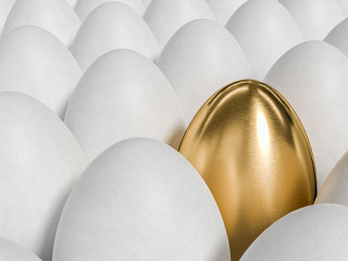 Unique one golden egg and many white eggs. 3D rendered illustrat