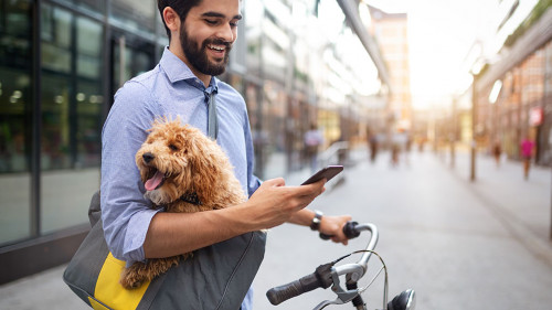 Lifestyle, transport, communication and people concept . Young man with bicycle and smartphone on city street