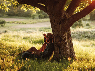 Calm male backpacker sitting under tree in summer day