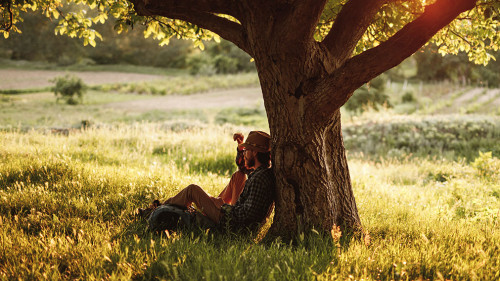 Calm male backpacker sitting under tree in summer day