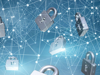 Network with security locks .