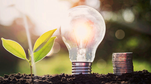 Energy saving lamps and planting trees on the soil ground Electr