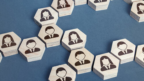 System structure of company employees as chains of hexagons. Development and teambuilding. Organization of business, distribution of responsibilities, well coordinated teamwork. Recruiting and hiring.