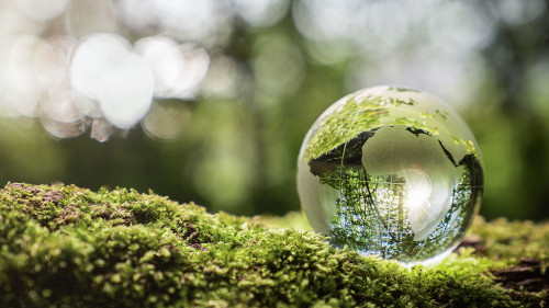 Environment conservation concept. Close up of glass globe in the