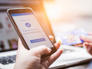 Online shopping concept, young woman hands holding mobile phone