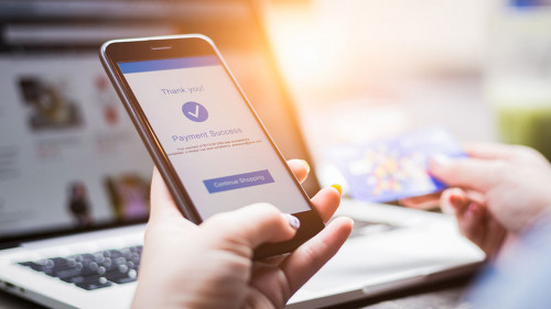 Online shopping concept, young woman hands holding mobile phone