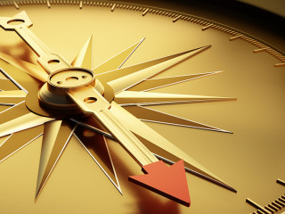 Goldener Kompass - Erfolg