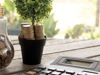 light bulb with coin and tree, calculator on wood table. Concept