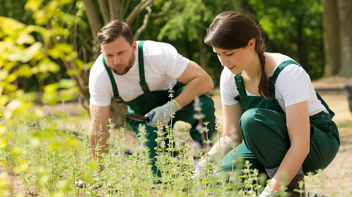 Caring for the nature
