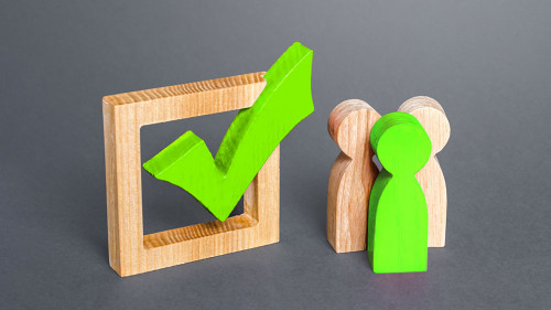 People are standing next to green check mark. Run for election. Voting on democratic election or referendum. Political campaign. Public poll. Legislative Initiative. Lobbying interests. Resolution.