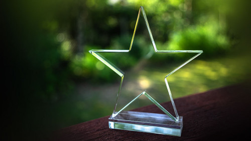 Transparent glass cup in the form of a star on a summer green ba