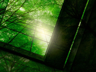 Eco-friendly building in the modern city. Green tree branches wi