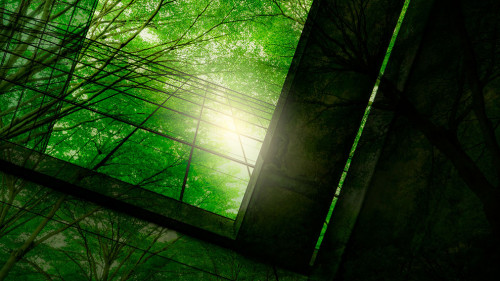 Eco-friendly building in the modern city. Green tree branches wi