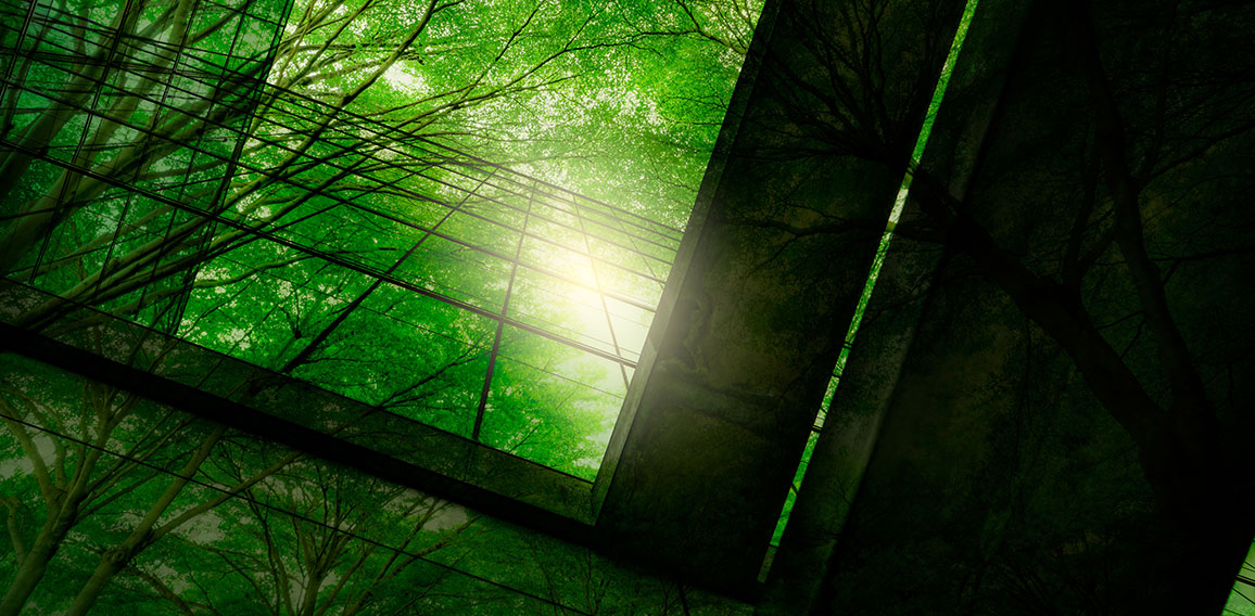 Eco-friendly building in the modern city. Green tree branches wi