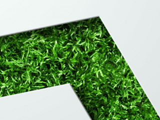 Natural concept, environment and organic products. Green abstract arrow, natural design. Natural design, flyer layout, marketing material, copy space.