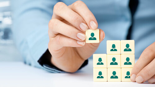 Human resources