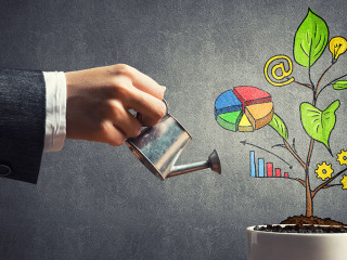 Drawn income tree in white pot for business investment savings and making money