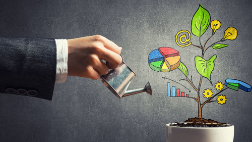 Drawn income tree in white pot for business investment savings and making money