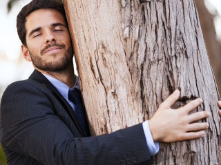 Businessman embrace a tree trunk