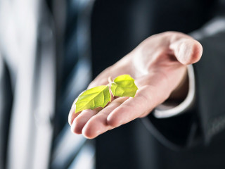 Business man holding green leaf on hand. Nature conservation, gl