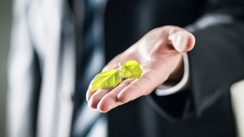 Business man holding green leaf on hand. Nature conservation, gl
