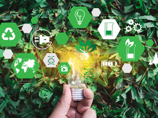 Team  Business  energy use, sustainability Elements  energy sour