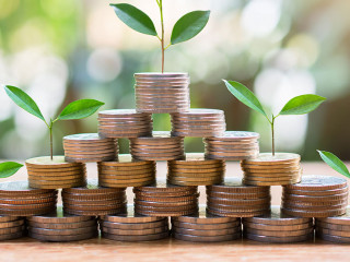 plant money coins saving set increase for concept investment mut