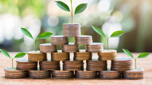 plant money coins saving set increase for concept investment mut