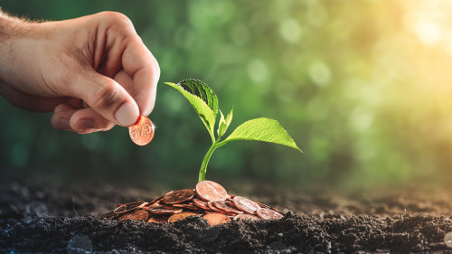 Hand Adding Penny To Pile Of Coins With Plant In Soil - Business
