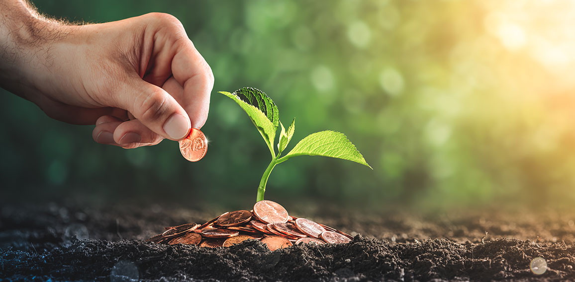 Hand Adding Penny To Pile Of Coins With Plant In Soil - Business