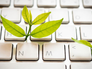 Leaves nature and keyboard.Small green plant growing from white
