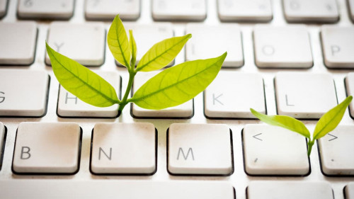 Leaves nature and keyboard.Small green plant growing from white