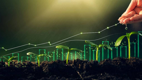 Hand-Kurs-gruen-498885214-AS-Miha-Creative