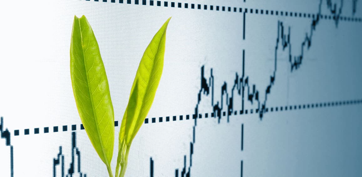 growing economy