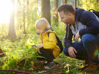 School boy and his father hiking together and exploring nature with magnifying glass. Child with his dad spend quality family time together in the sunny summer forest.