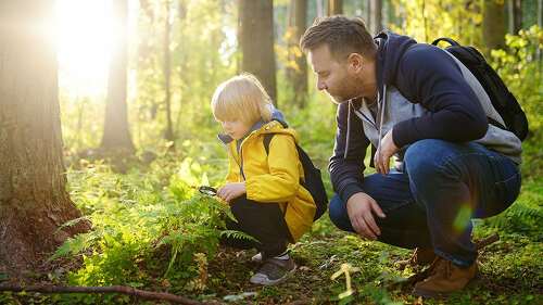 School boy and his father hiking together and exploring nature with magnifying glass. Child with his dad spend quality family time together in the sunny summer forest.