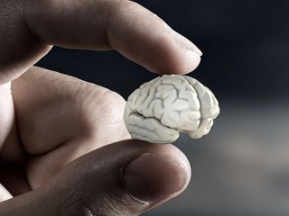 Small brain between fingers . Mixed media