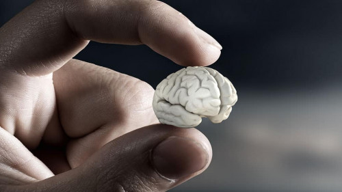 Small brain between fingers . Mixed media