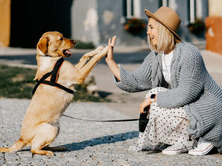 Hund-Frau-5623231-PB-ZigmarsBerzins