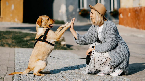 Hund-Frau-5623231-PB-ZigmarsBerzins