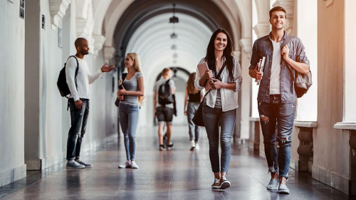 Students in university