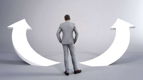 Leader or Business man making decision, 2 directions of choices