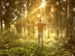 Mann genießt Sonne in nebligem Wald