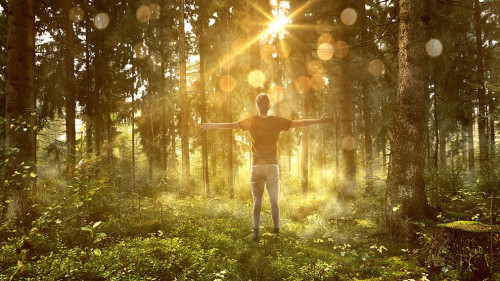 Mann genießt Sonne in nebligem Wald